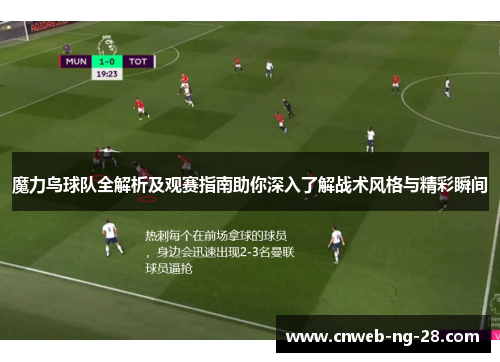 魔力鸟球队全解析及观赛指南助你深入了解战术风格与精彩瞬间