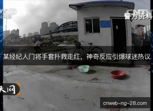 某经纪人门将手套扑救走红，神奇反应引爆球迷热议